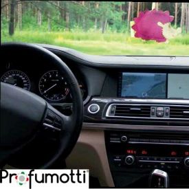 Distributori di benzina e autolavaggi