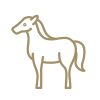 Animali