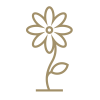 Fiori e natura