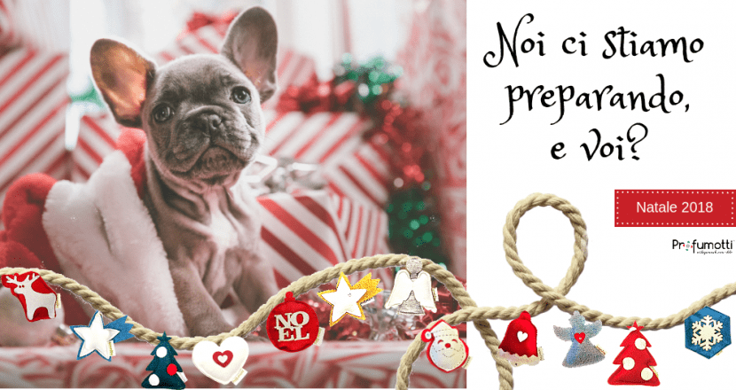 Natale con Profumotti&reg;