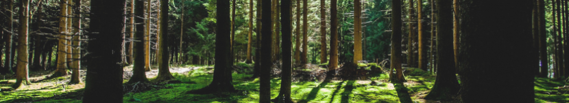 Profumotti e l'ambiente