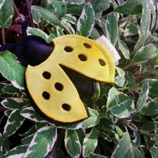 Profumatore coccinella gialla