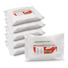 Salviette igienizzanti con antibatterico - 20pz