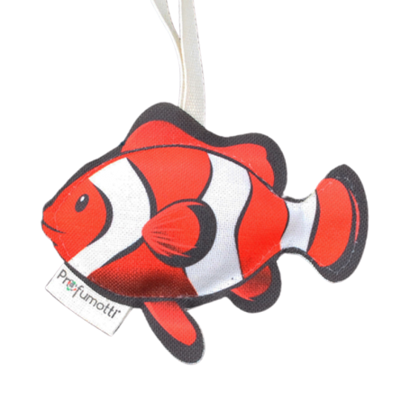 CLOWNFISH ECO DIFUSER CITRUSES